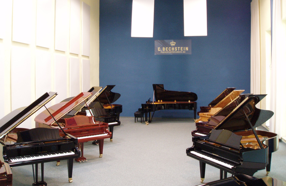 C. Bechstein Centrum Sachsen