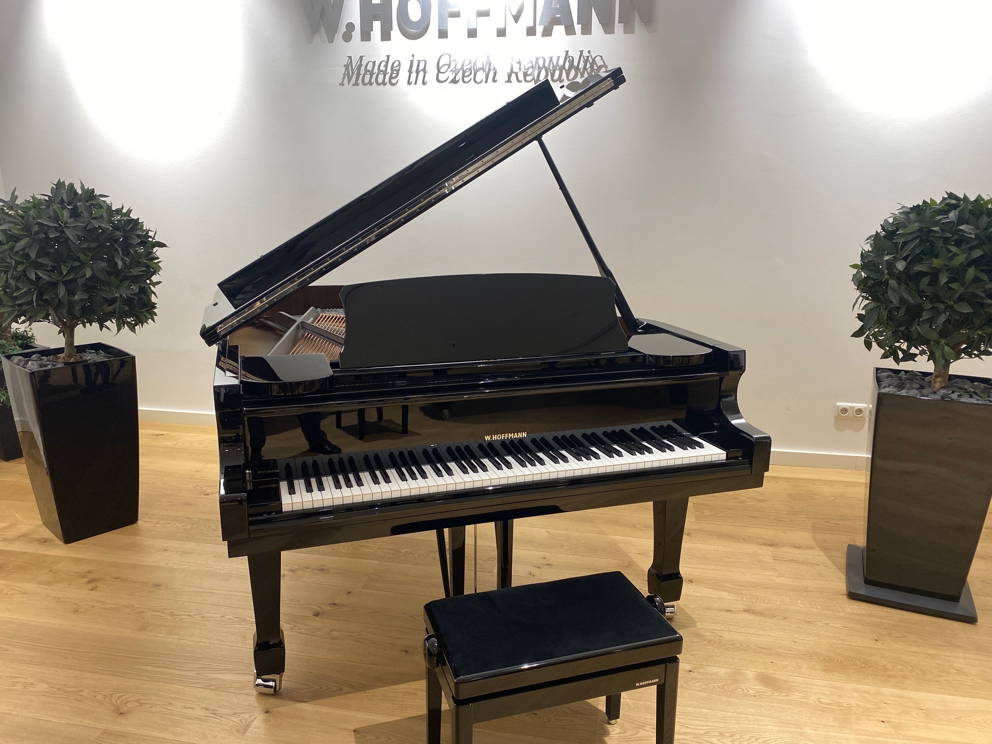 Professional P 188 - W. Hoffmann