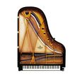 C. Bechstein Concert & Residence Concert B-212