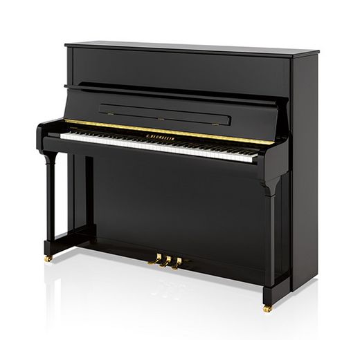 C. Bechstein Academy A 124 Style