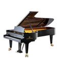 C. Bechstein Concert Concert D-282