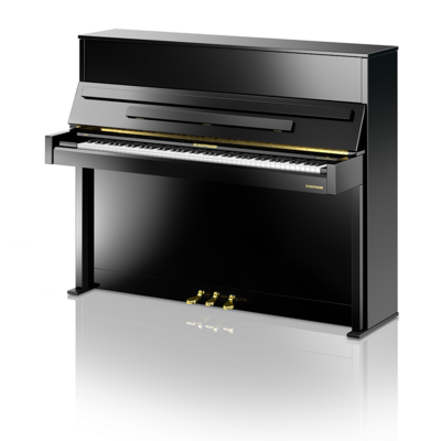 W.&nbsp;Hoffmann Vision V 4