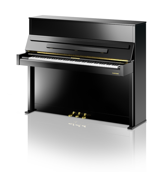 W.&nbsp;Hoffmann Vision V 4