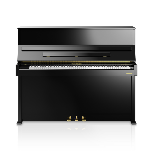 W.&nbsp;Hoffmann Vision V 4