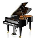 C. Bechstein Concert & Residence Concert B-212