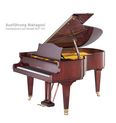 C. Bechstein Concert & Residence Concert B-212