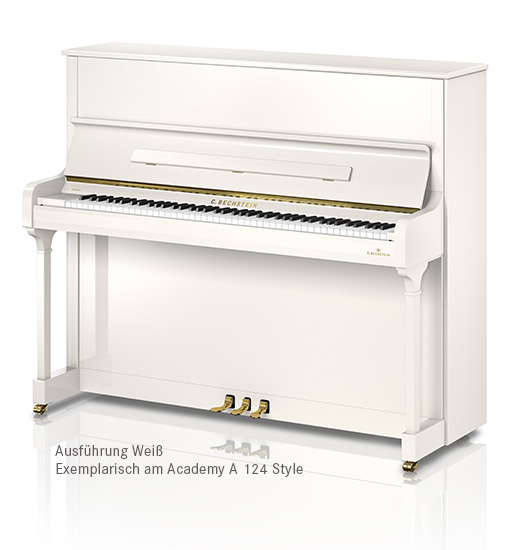 C.&nbsp;Bechstein Academy Academy A 6