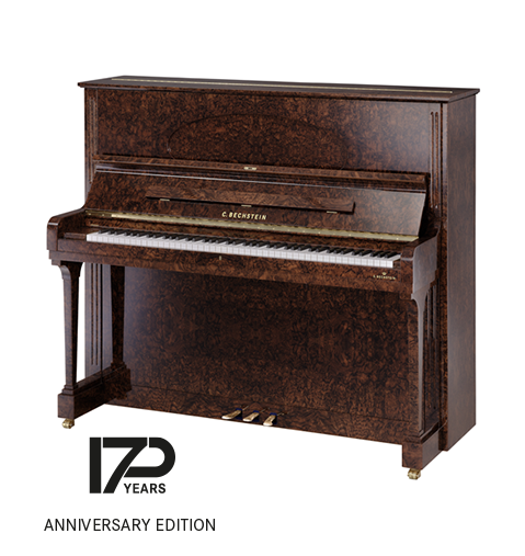 C. Bechstein Concert & Residence Concert C 6