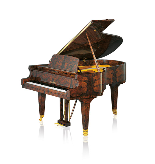 C. Bechstein Academy Academy A 190