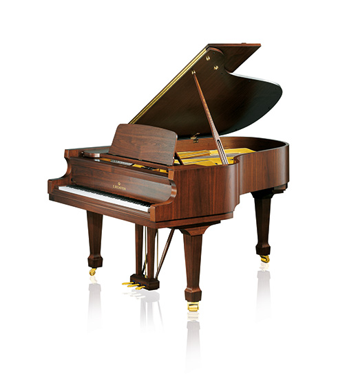 C. Bechstein Academy Academy A 190