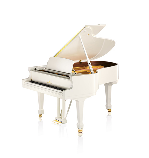 C. Bechstein Academy Academy A 190