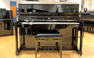 P 120 Vario Classic - W.Hoffmann