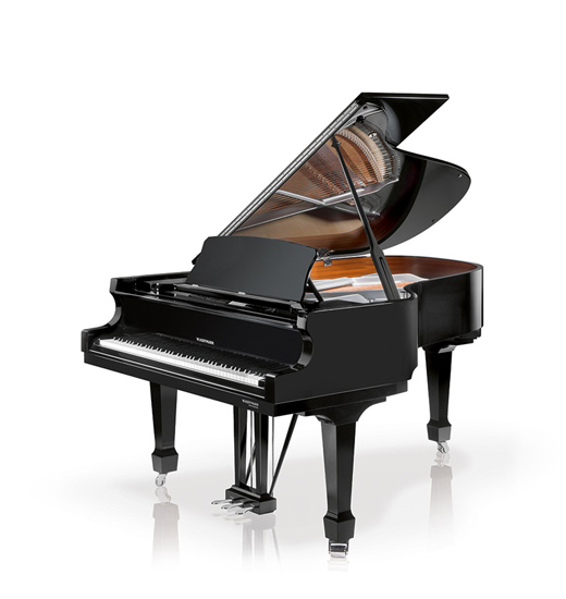 Professional piano on sale