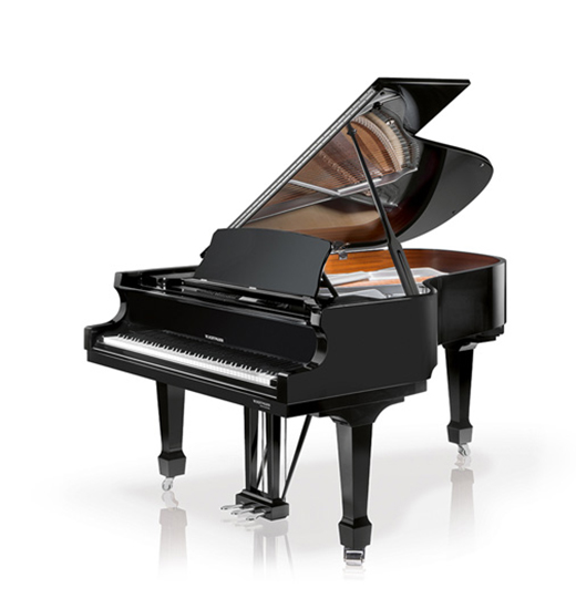 W. Hoffmann Professional P 206