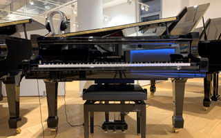 T 161 VARIO duet - W.Hoffmann