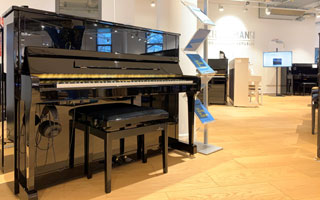 V 120 Vario duet - W.Hoffmann