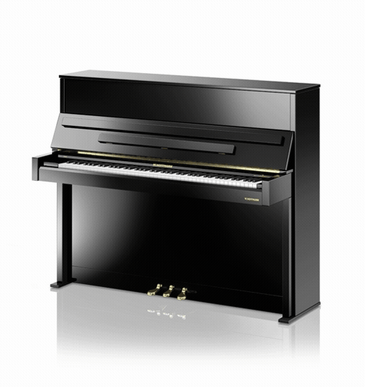 W.&nbsp;Hoffmann Vision V 4