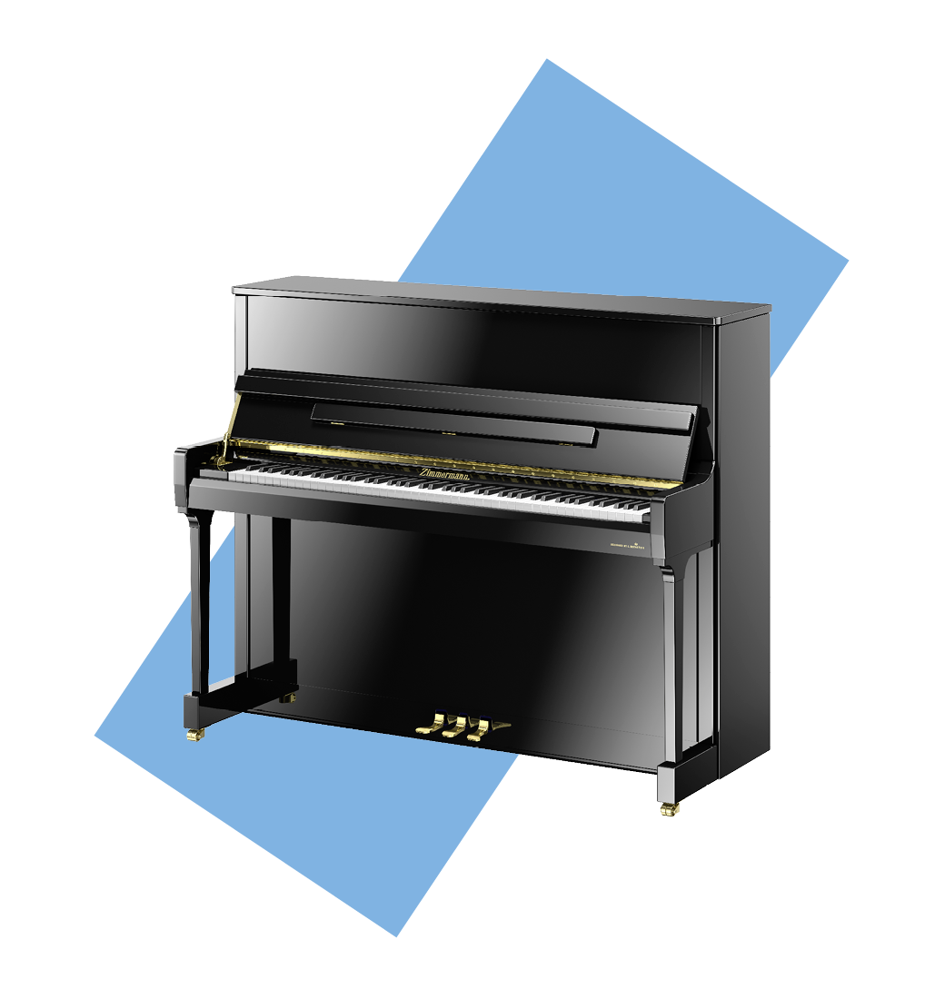 Z_S4_Standard_Black_pol_520x55