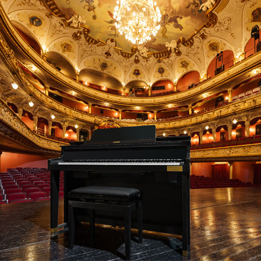 CASIO Digitalpianos Celviano GP-510