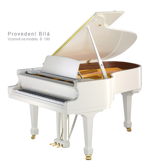 C. Bechstein Academy Academy A 175