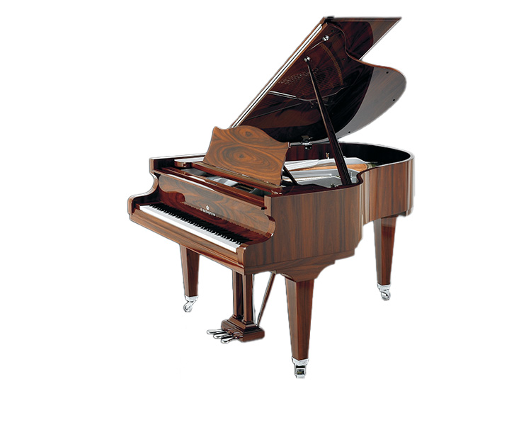 Flügel & Klaviere in Furnierausführung