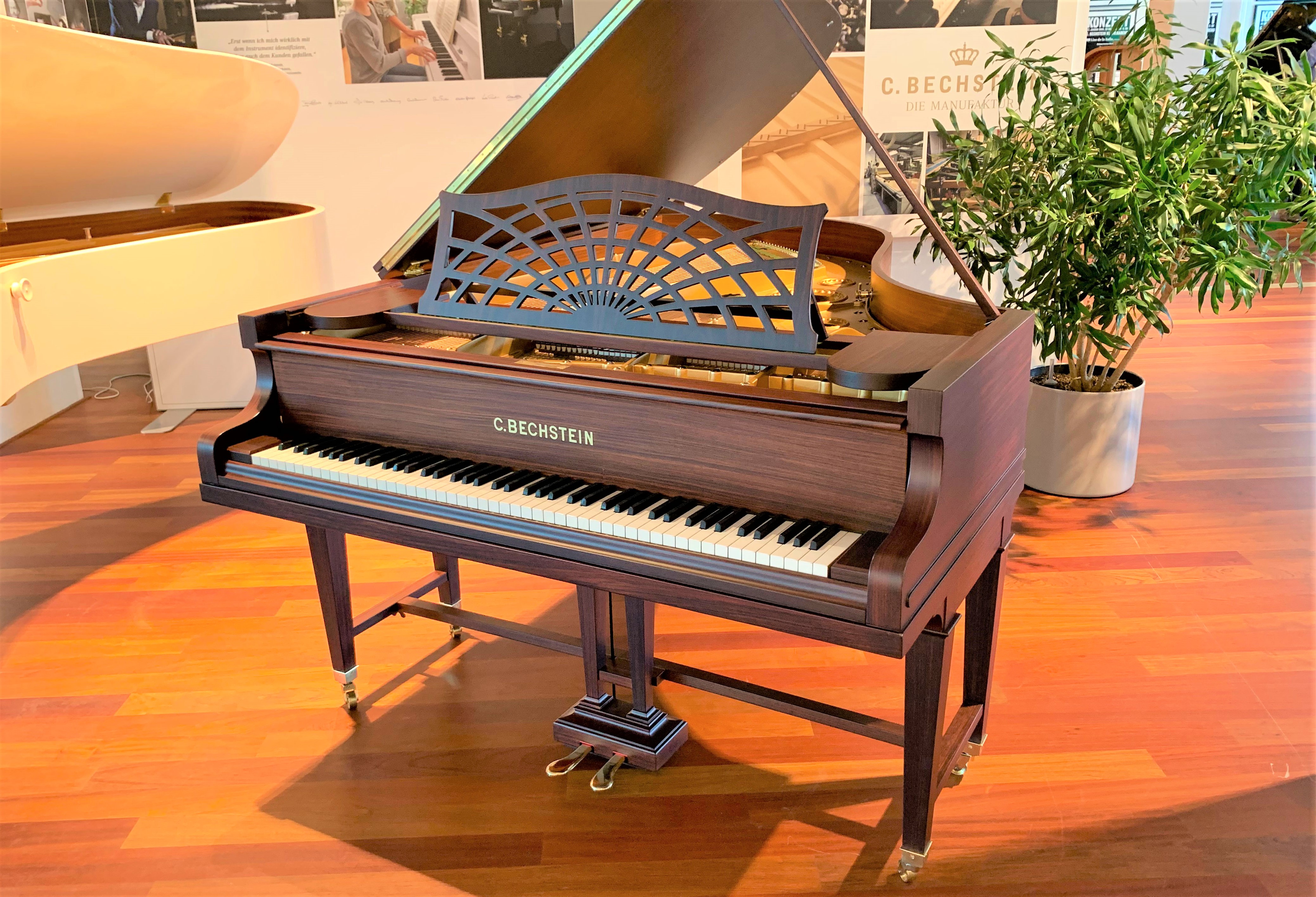 C. Bechstein B 203 Sheraton from 1916 - C. Bechstein