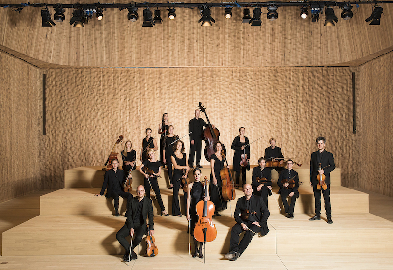Künstler:innen des Fränkischer Sommers