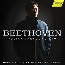 "Beethoven" by Julian Jaeyoung Kim