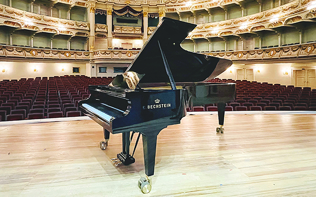 Concert D-282 - C.&nbsp;Bechstein
