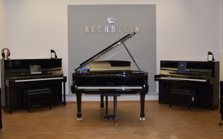 Professional P 162 - W. HOFFMANN