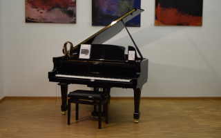 Tradition T 161 mit Vario classic Stummschaltung - W. HOFFMANN