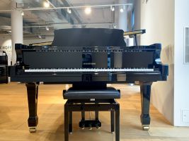 T 186 - W. Hoffmann