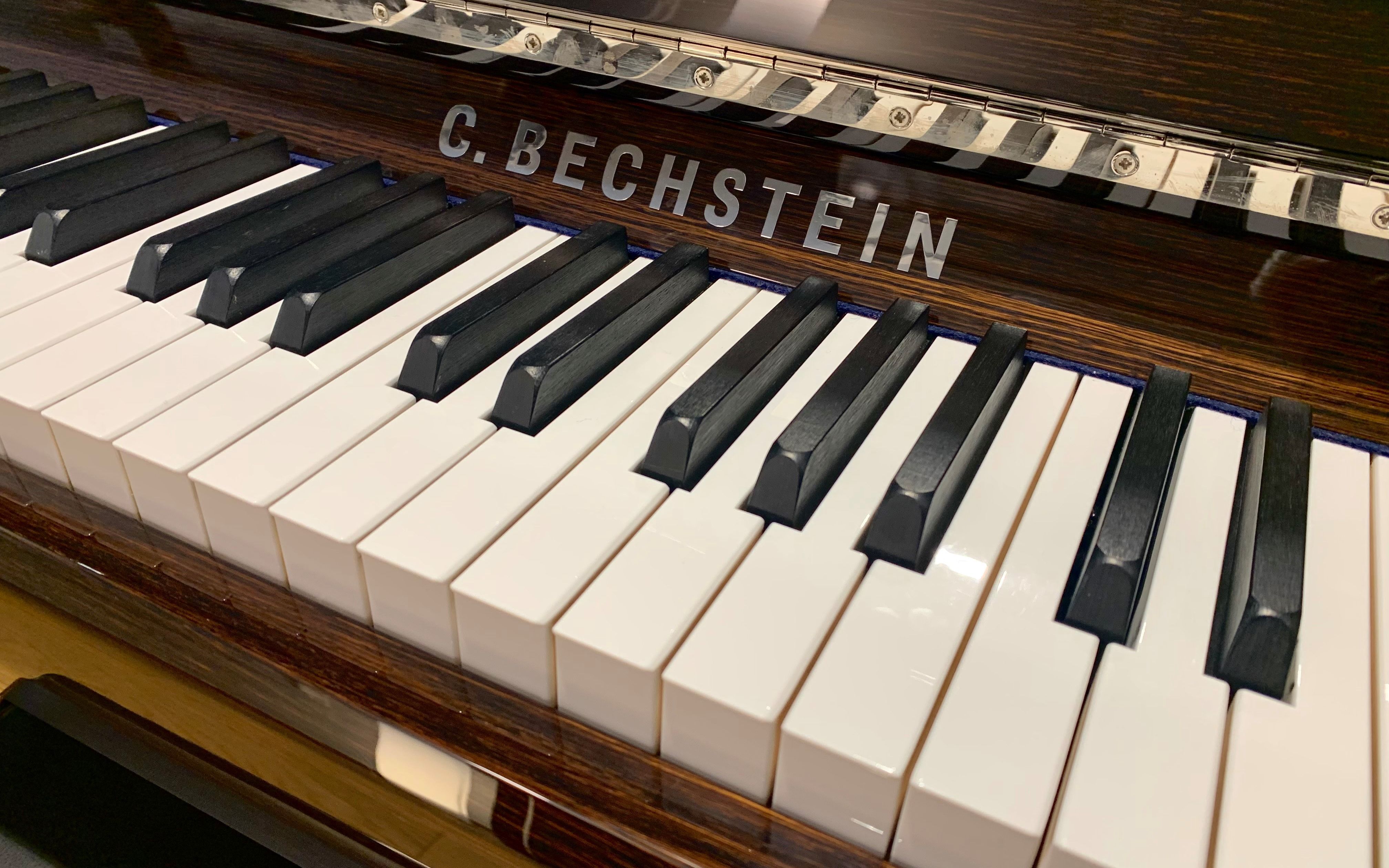 A 114 Compact VARIO duet - C. Bechstein Academy