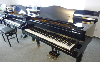 M/P 192 schwarz poliert - C.&nbsp;Bechstein