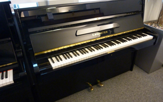 12n (114 cm) schwarz poliert - Schimmel