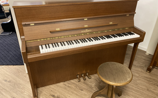 112/10 Nussbaum - Schimmel