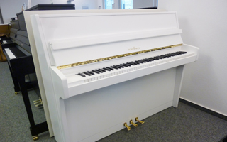 112/5 weiß poliert - Schimmel