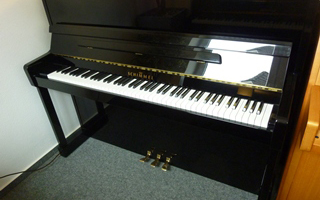 116 S schwarz poliert - Schimmel