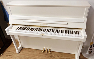 118 T Eiche weiß matt - Schimmel