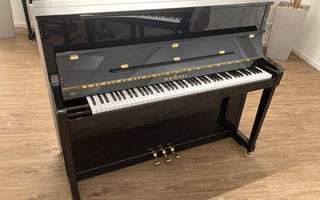 120 I schwarz poliert - Schimmel