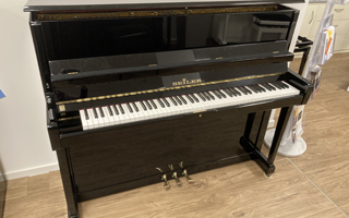 118 schwarz poliert - Seiler