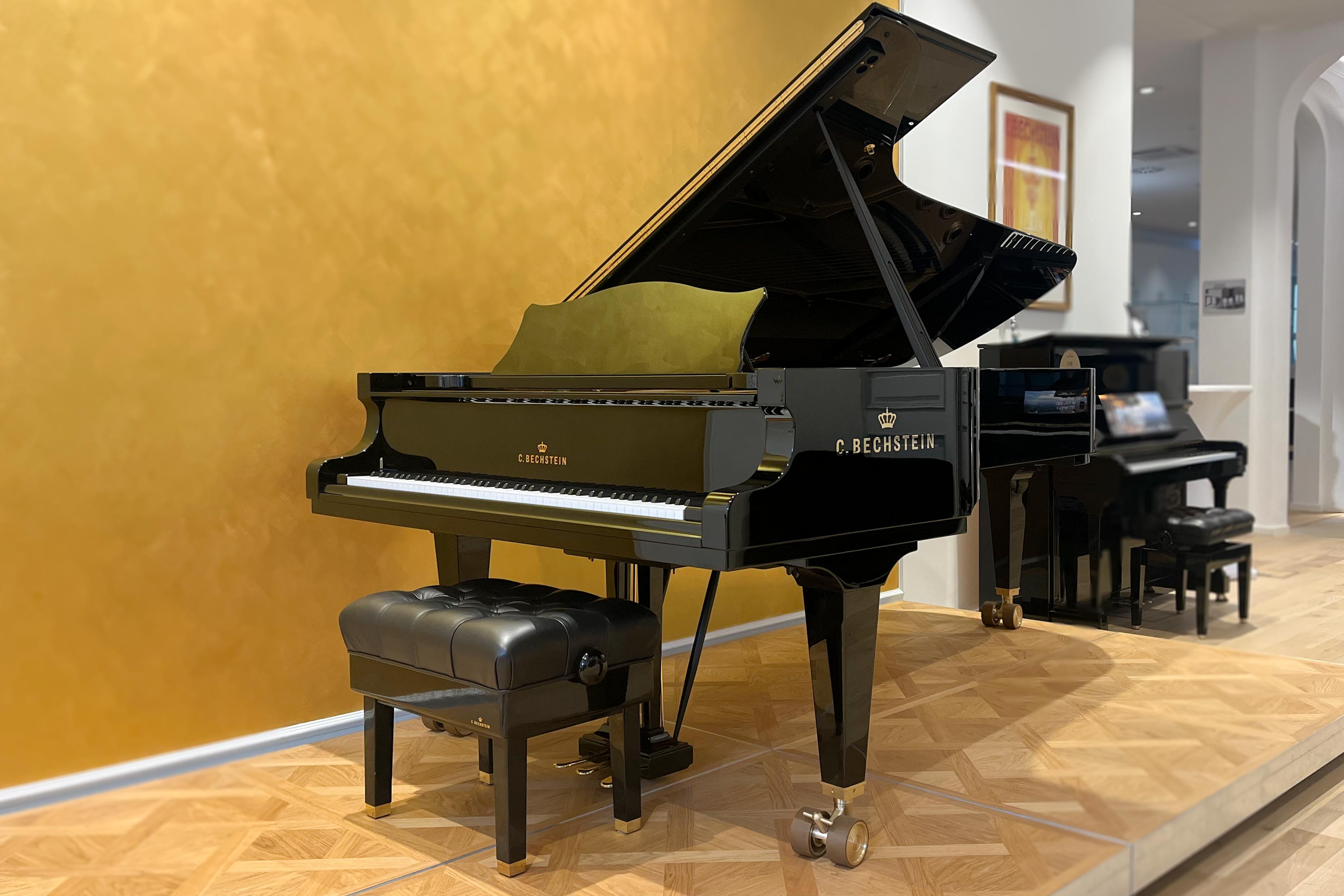 Concert D-282 - C. Bechstein