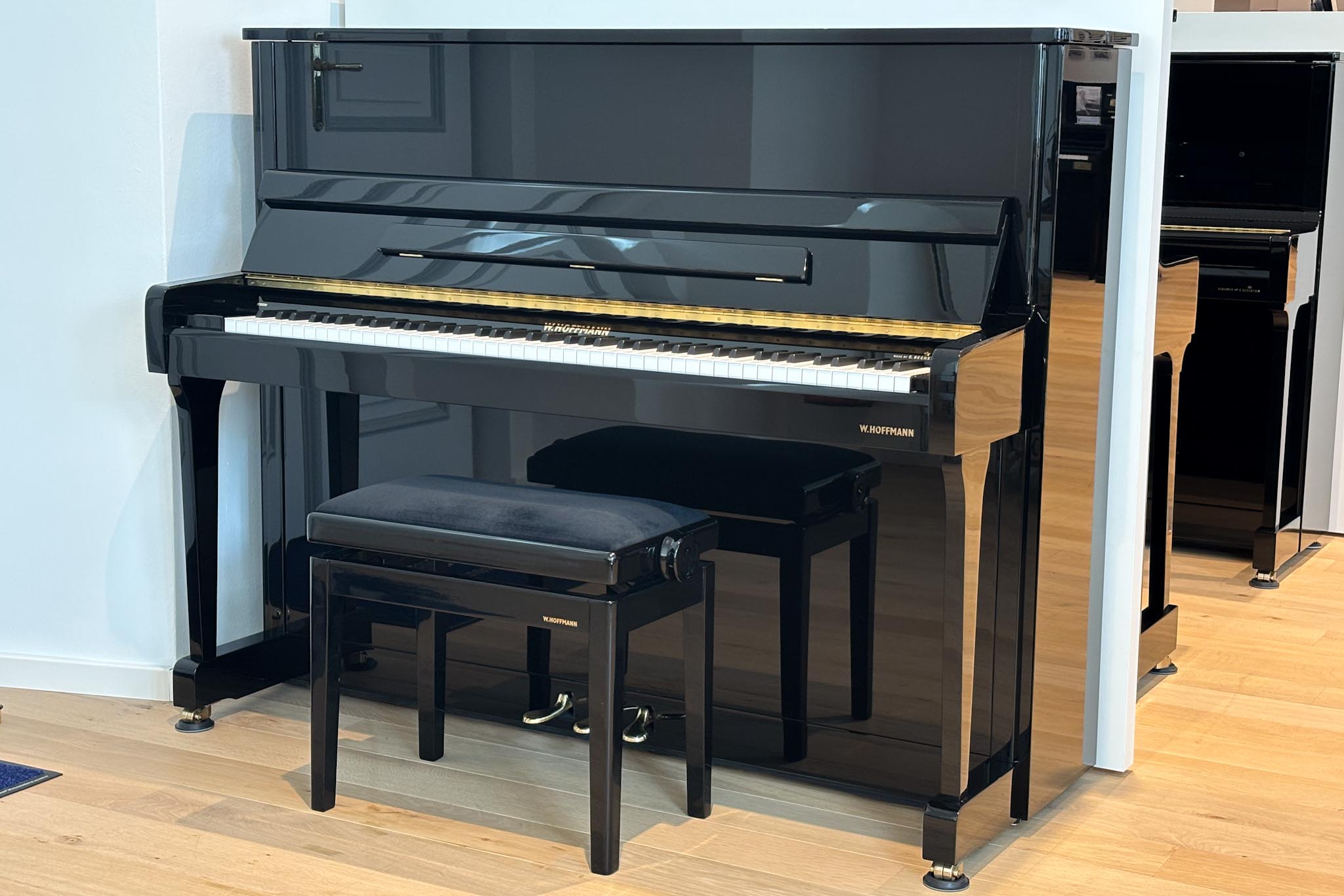 Vision V 120 - W. Hoffmann
