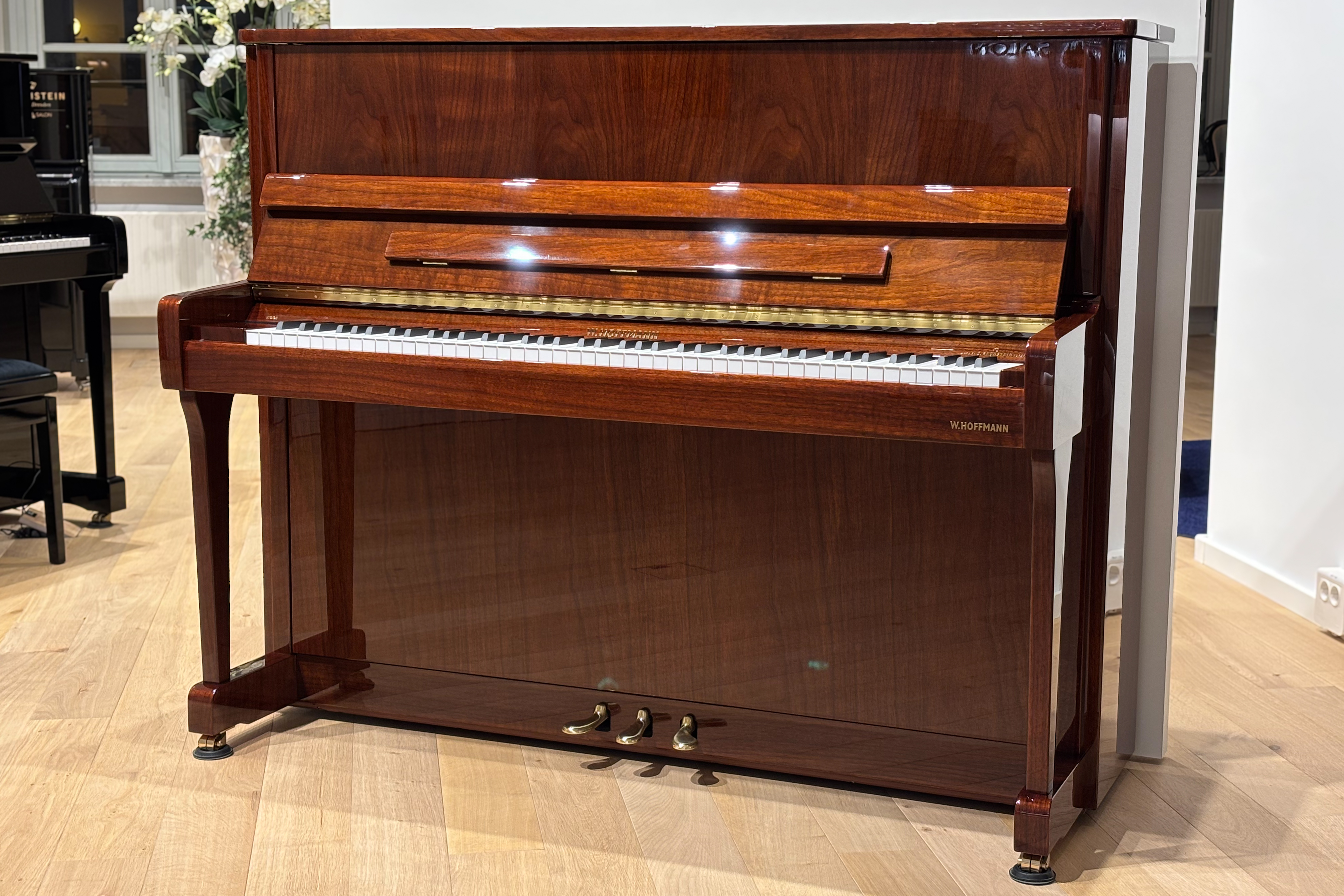 Vision V 120 - W. Hoffmann