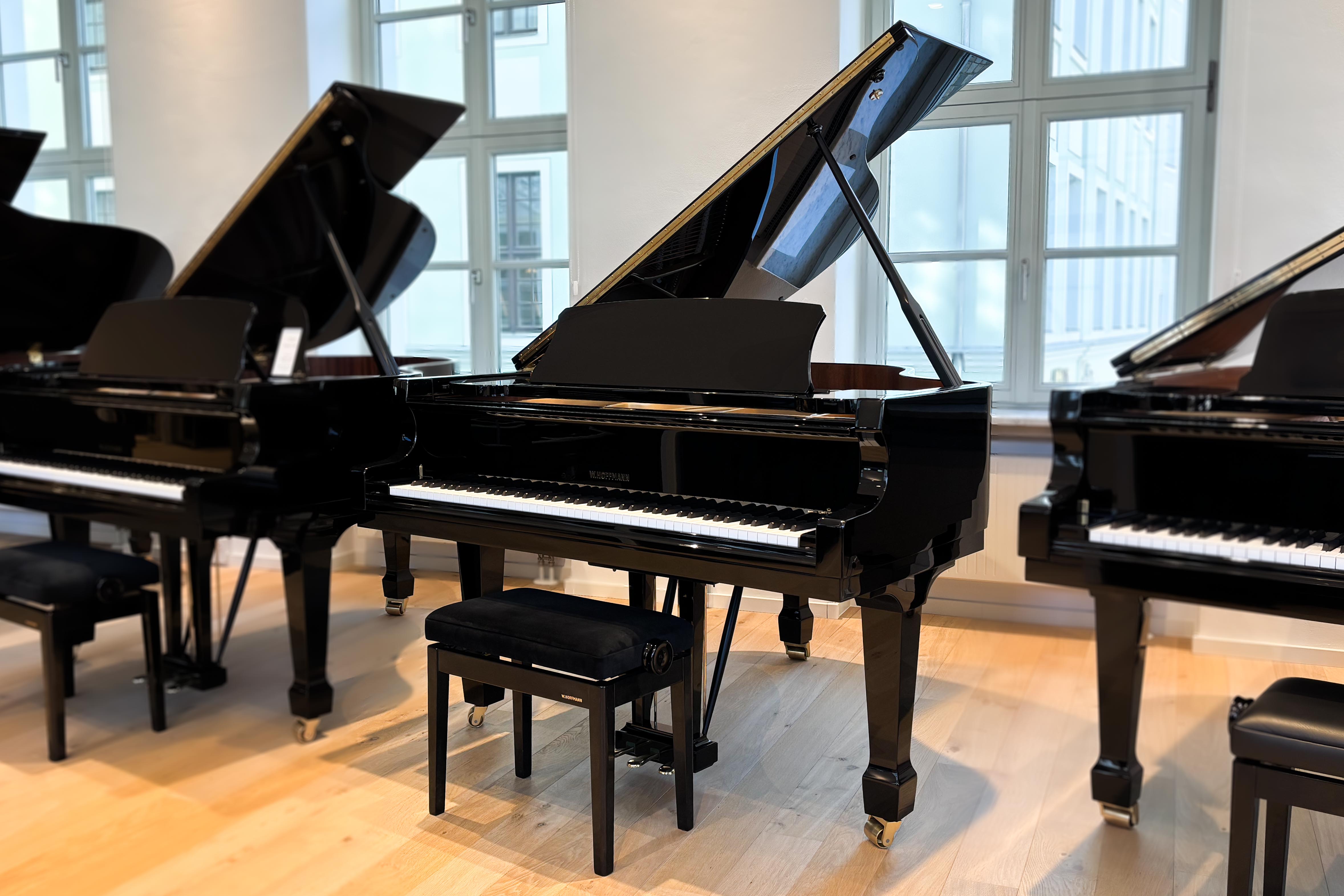 Professional P 162 - W. Hoffmann