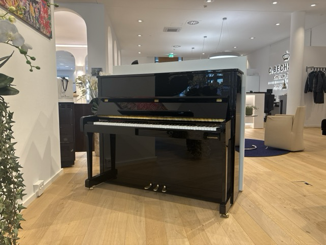 Vision V 120 - W.&nbsp;Hoffmann
