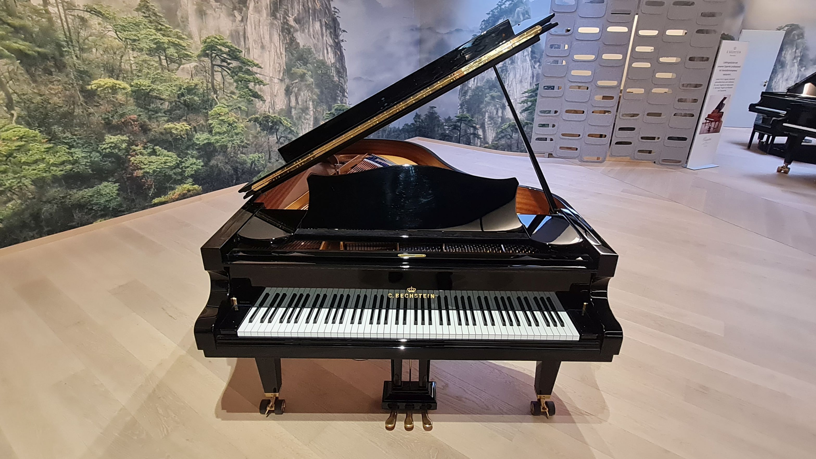 Concert B-212 - C.&nbsp;Bechstein