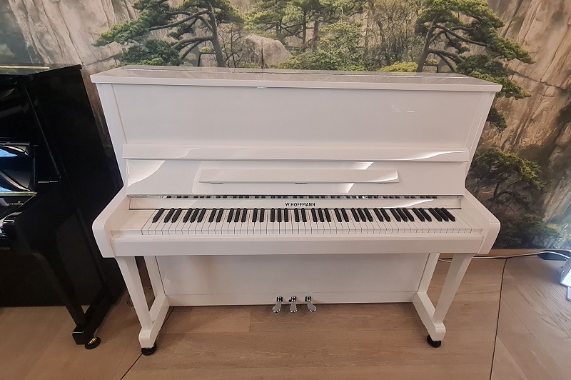 Vision V 120 - W.&nbsp;Hoffmann