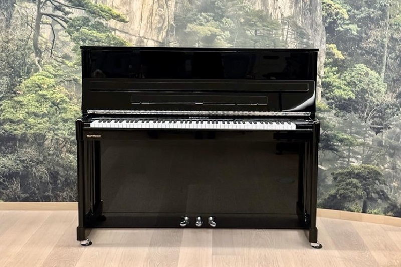 Professional P 120 - W.Hoffmann