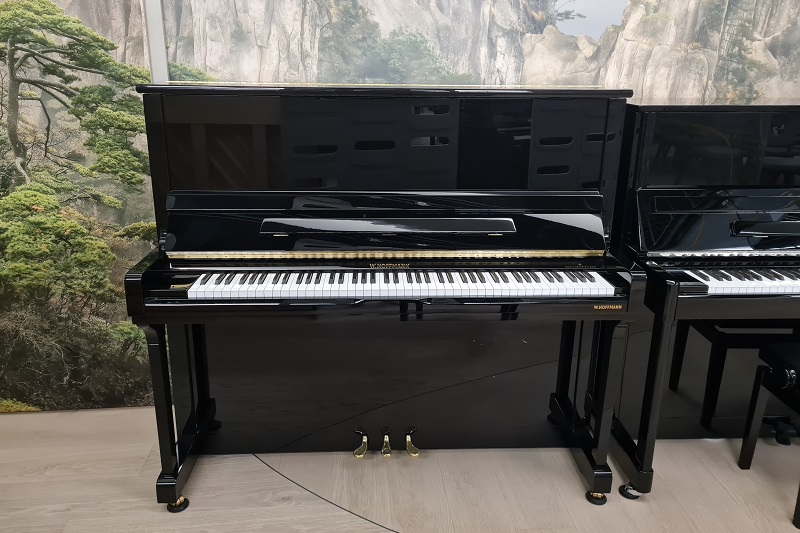 Vision V 131 - W.Hoffmann